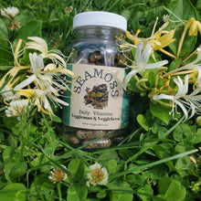 Load image into Gallery viewer, Sea Moss Vegan Capsules 735 mg