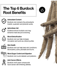Load image into Gallery viewer, Burdock Root Powder