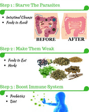 Load image into Gallery viewer, Parasite Cleanse