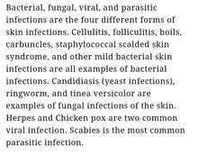 Load image into Gallery viewer, Parasite Cleanse