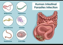 Load image into Gallery viewer, Parasite Cleanse