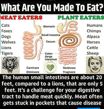 Load image into Gallery viewer, Parasite Cleanse