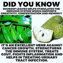 Load image into Gallery viewer, Soursop Fruit Blend