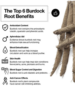 Burdock Root  Powder