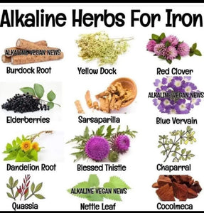 Iron Supplement _Restore_ Alkaline_